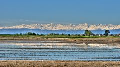 Reisfelder bei Vercelli