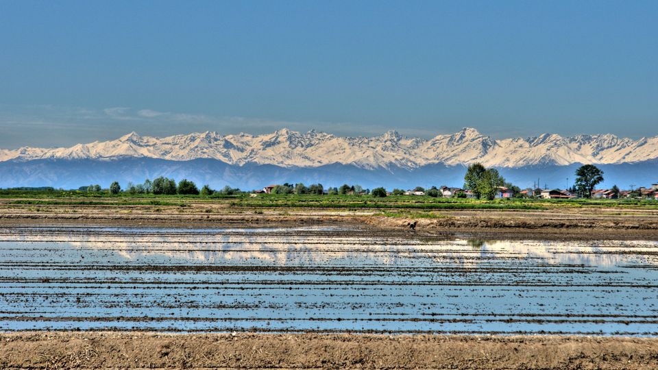 Reisfelder bei Vercelli