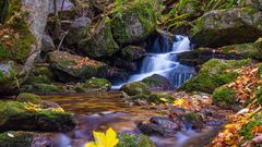 Ysperklamm