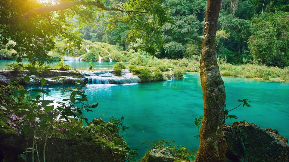 Semuc Champey