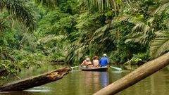 Tortuguero mit dem Boot