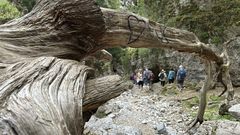 Imbros-Schlucht auf  Kreta