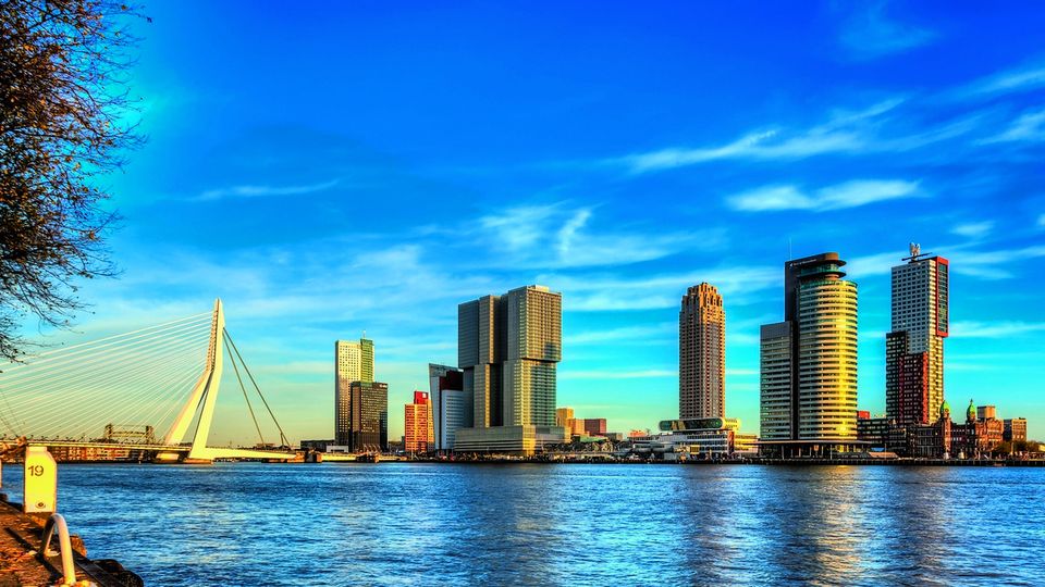 Rotterdam - Blick auf die Erasmusbrücke