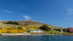West Point, Falklandinseln
