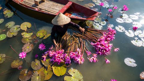 Yen Fluss in Vietnam
