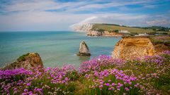 Isle of Wight