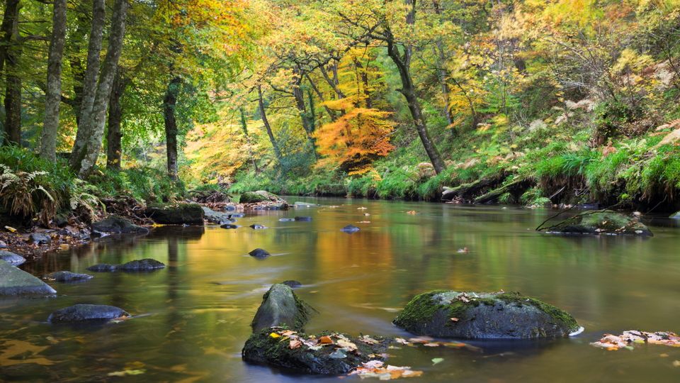 River Teign, Dartmoor Nationalpark