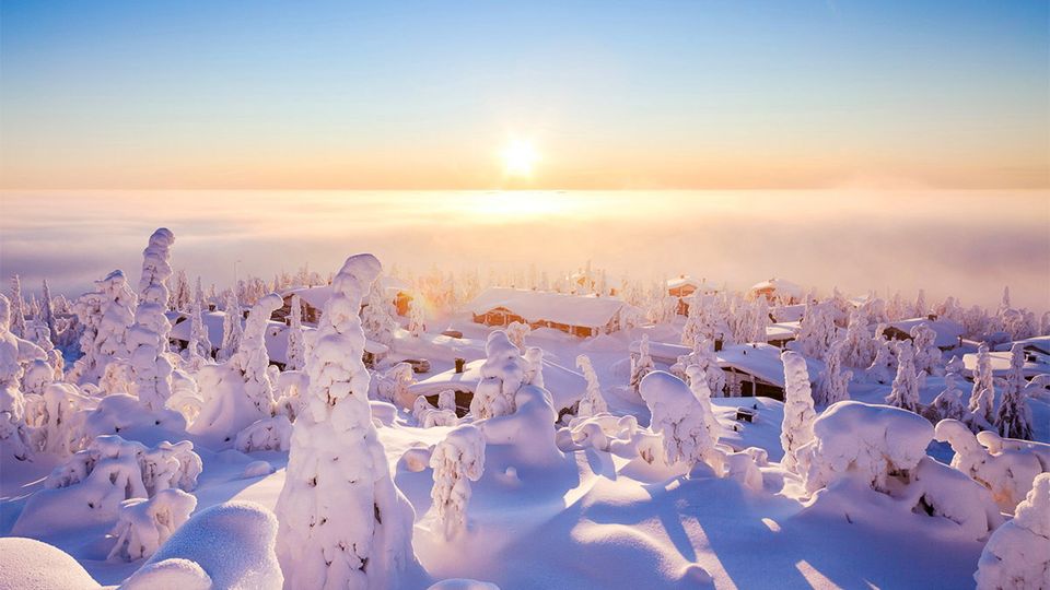 Winter