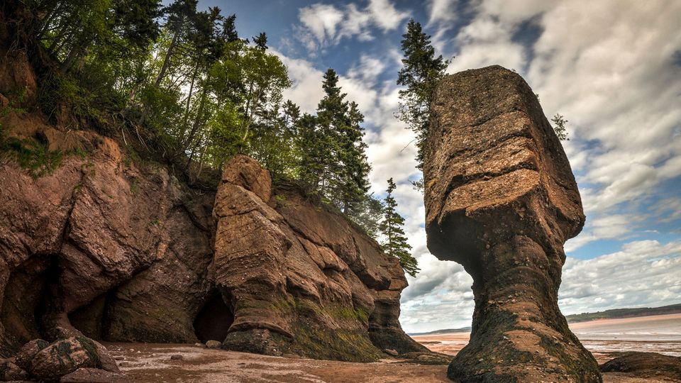 Hopewell Rocks Park