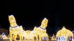Magdeburger Lichterwelt