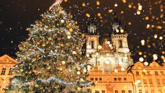 Weihnachtsbaum Prag