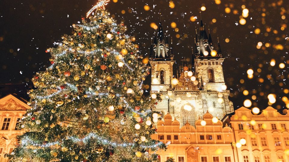Weihnachtsbaum Prag