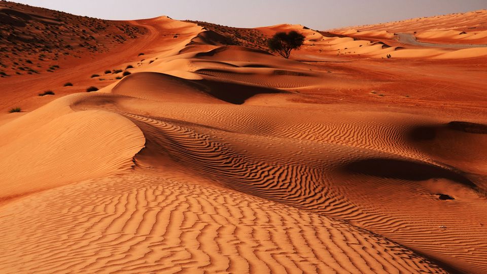 Sandwüste Wahiba im Oman