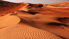Sandwüste Wahiba im Oman