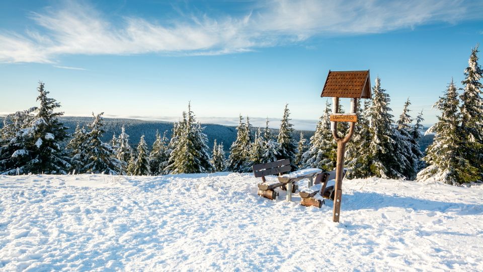 Thüringer Wald Schneekopf