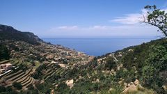 Landschaft Mallorca