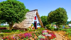 Traditionelles Haus mit Blumen auf Madeira