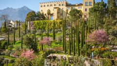 Schloss Trauttmansdorff Garten ©lorenza62, AdobeStock Schloss Trauttmansdorff Garten