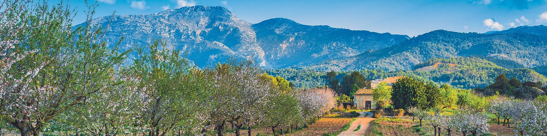 Aktivreisen | Wandern auf Mallorca