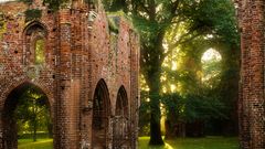 Greifswald, Klosterruine Eldena