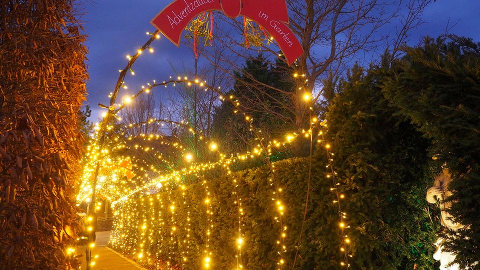 Fotopoint - Der goldene Lichtertunnel
