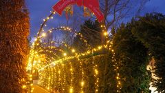 Fotopoint - Der goldene Lichtertunnel