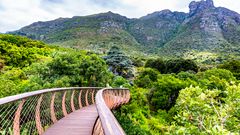 Kirstenbosch National Botanical Garden in Kapstadt