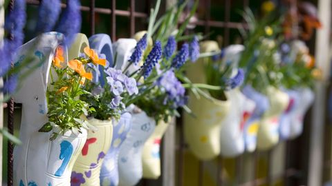 Blumenschuhe bei einer Frühlingsreise mit sz-Reisen