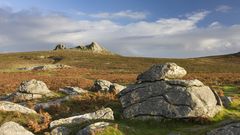 Hochmoor in der Nähe von Haytor