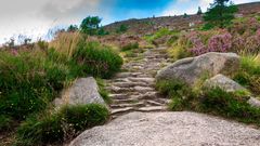 Schottische Stufen Cairngorms