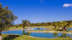 Golfplatz