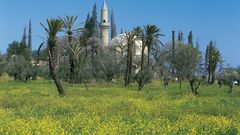 Hala-Sultan-Tekke in Dromolaxia