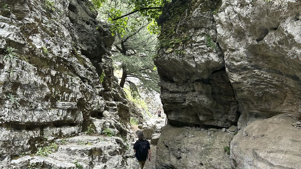 Imbros-Schlucht auf Kreta III