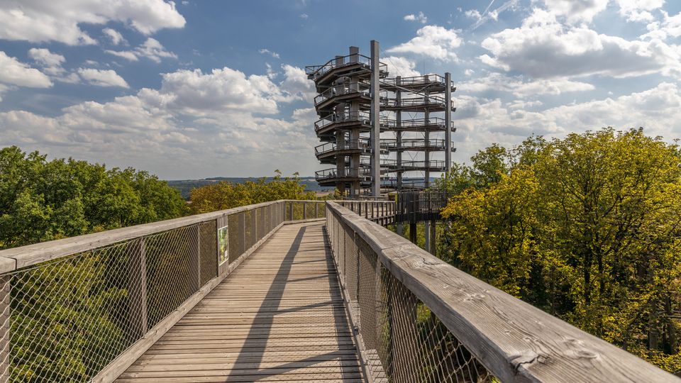 Baumwipfelpfad an der Saarschleife