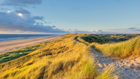 Küste auf einer Nordsee Reise mit sz-Reisen