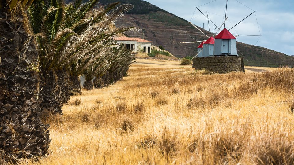 Windmühlen auf Porto Santo