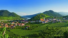 Spitz an der Donau