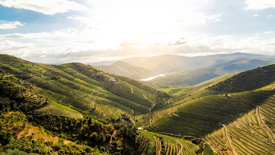 Douro Tal 