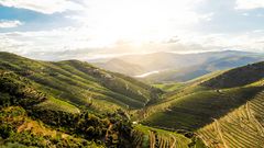 Douro Tal 