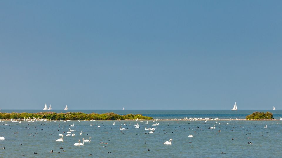 IJsselmeer