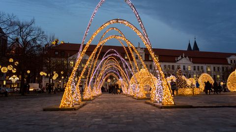 Magdeburger Lichterwelt auf dem Domplatz