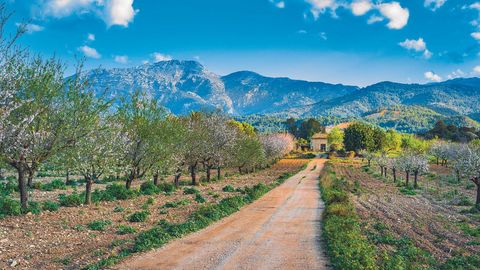 Aktivreisen | Wandern auf Mallorca