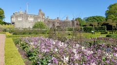 Walmer Castle