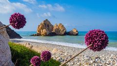 Zypern, Aphrodite-Felsen und Blumen