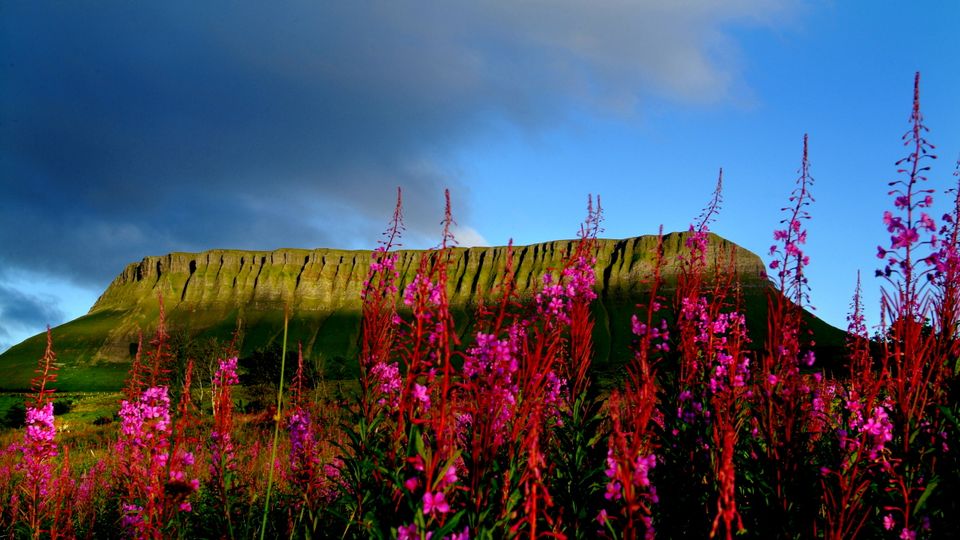 Tafelberg Ben Bulben, Sligo Bay