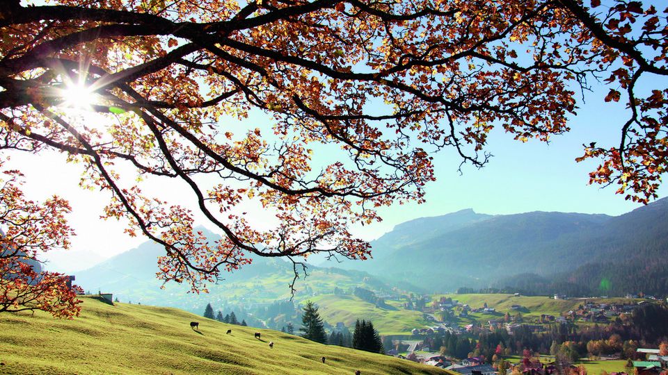 Kleinwalsertal mit Blick Ifen