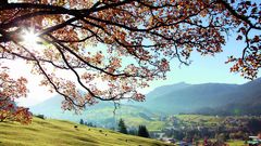 Kleinwalsertal mit Blick Ifen