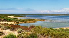 Ria Formosa, Isla Deserta