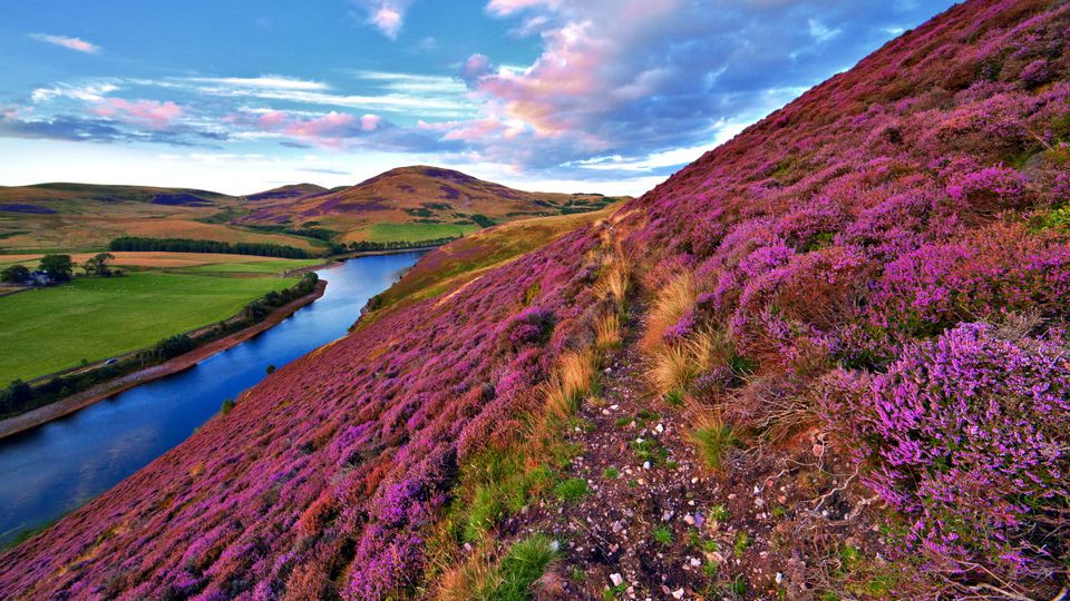 Bunte schottische Landschaft