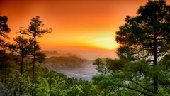 Gran Canaria